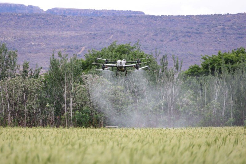 Dron con chasis impreso